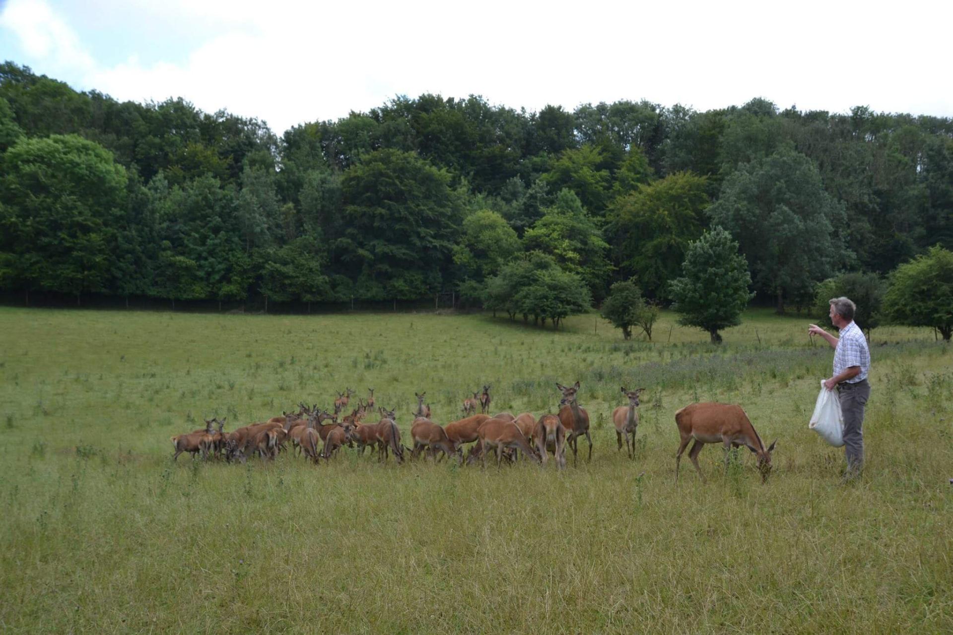 La ferme du Mont Vert