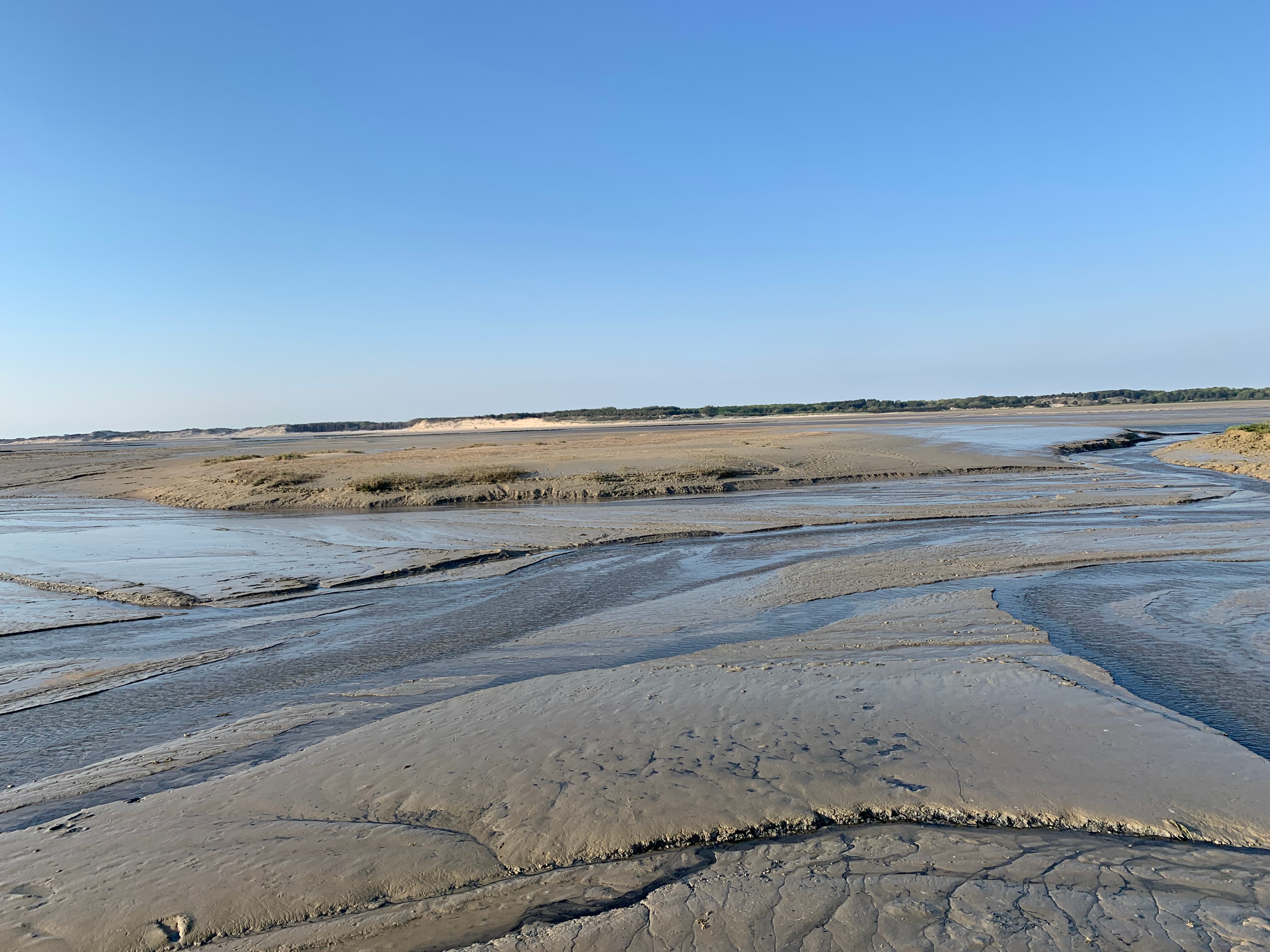 La baie d'Authie